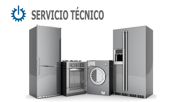 tecnico Electrolux Torrevieja