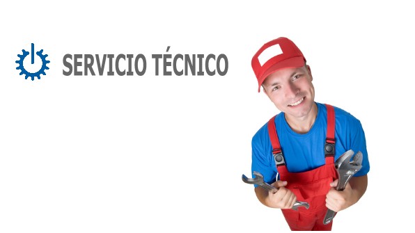 tecnico Miele Ibi